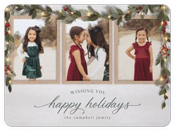 Gorgeous Frosty Garland